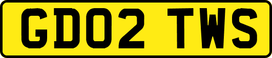 GD02TWS