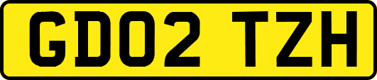 GD02TZH