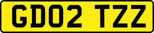 GD02TZZ