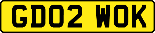 GD02WOK