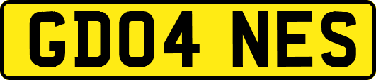 GD04NES