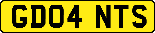 GD04NTS