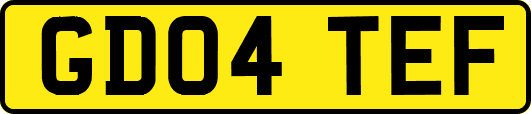 GD04TEF