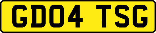 GD04TSG