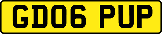 GD06PUP