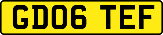 GD06TEF