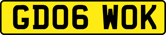 GD06WOK