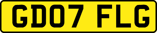 GD07FLG