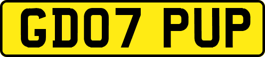 GD07PUP