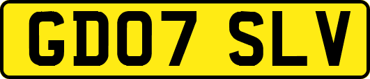 GD07SLV