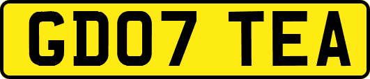 GD07TEA