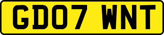 GD07WNT