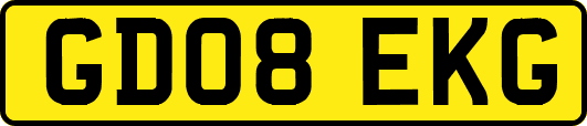GD08EKG