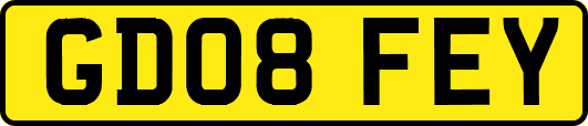 GD08FEY