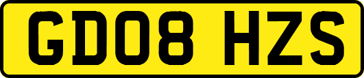 GD08HZS