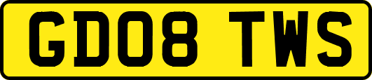 GD08TWS