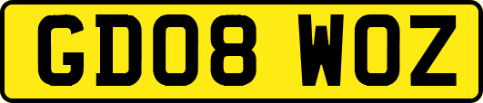 GD08WOZ