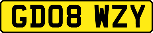 GD08WZY