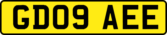 GD09AEE