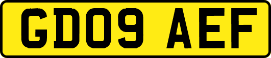 GD09AEF