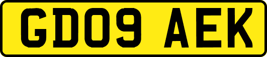 GD09AEK