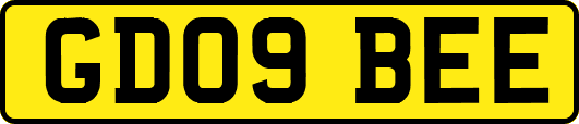 GD09BEE