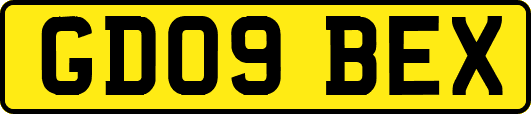 GD09BEX