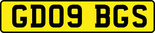 GD09BGS
