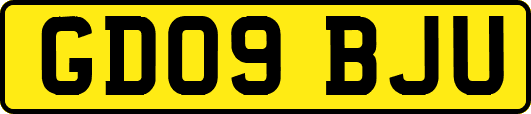 GD09BJU