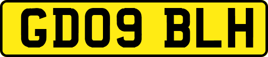 GD09BLH