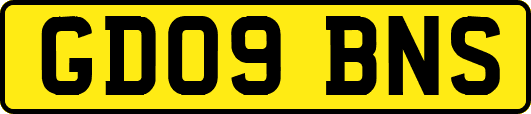 GD09BNS