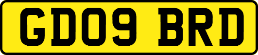 GD09BRD