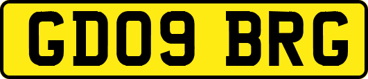 GD09BRG