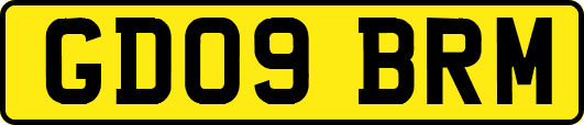 GD09BRM