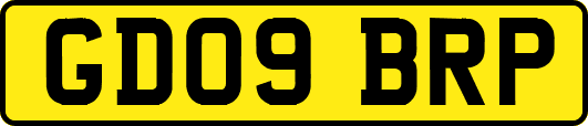 GD09BRP