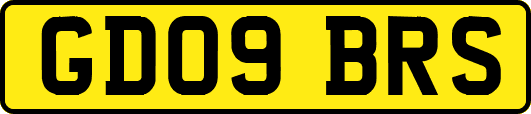 GD09BRS
