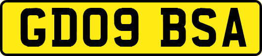 GD09BSA