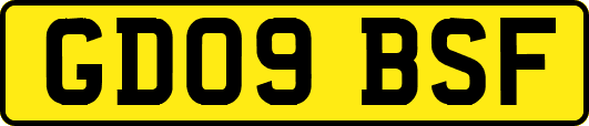 GD09BSF