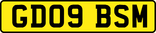 GD09BSM