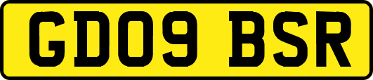 GD09BSR