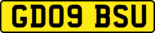 GD09BSU