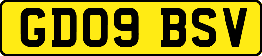 GD09BSV