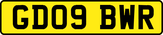 GD09BWR