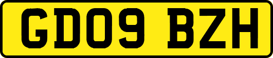 GD09BZH