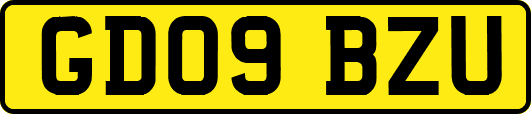 GD09BZU