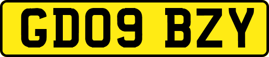 GD09BZY