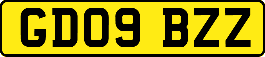 GD09BZZ