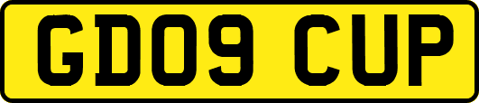 GD09CUP