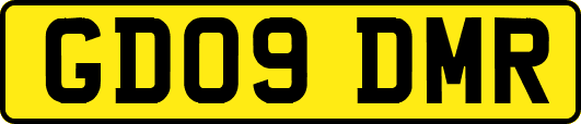 GD09DMR
