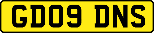 GD09DNS